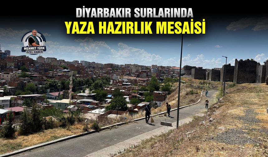Diyarbakır Surlarında Yaza hazırlık mesaisi