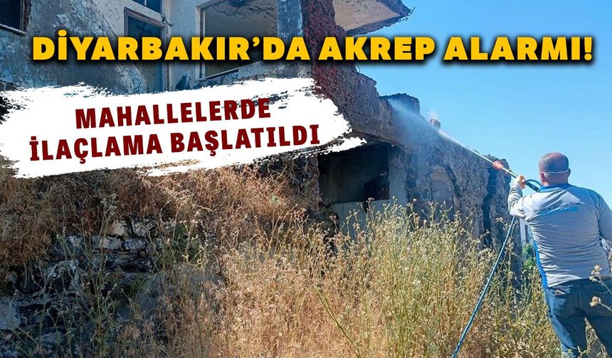 Diyarbakır’da akrep alarmı! Mahallelerde ilaçlama başlatıldı