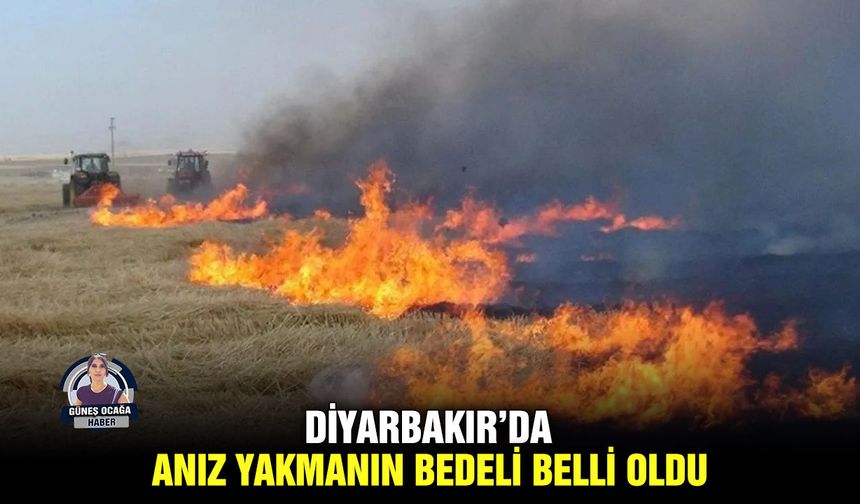 Diyarbakır’da anız yakmanın bedeli belli oldu