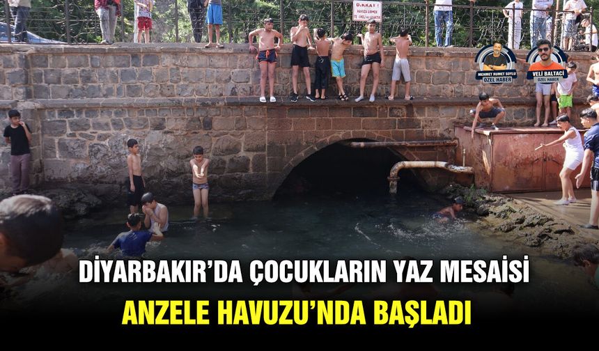 Diyarbakır’da çocukların yaz mesaisi Anzele Havuzu’nda başladı