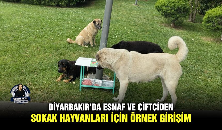 Diyarbakır’da esnaf ve çiftçiden sokak hayvanları için örnek girişim