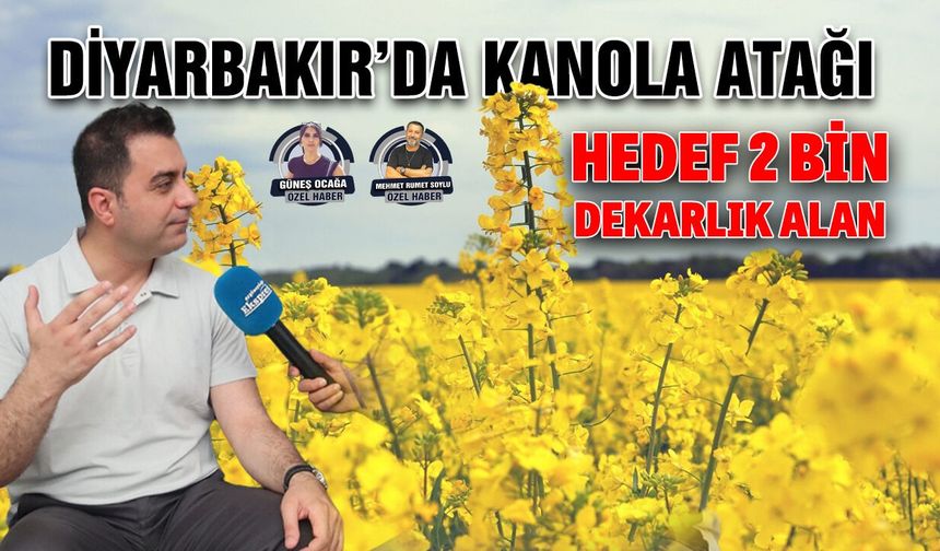 Diyarbakır’da  kanola atağı: Hedef 2 bin dekarlık alan