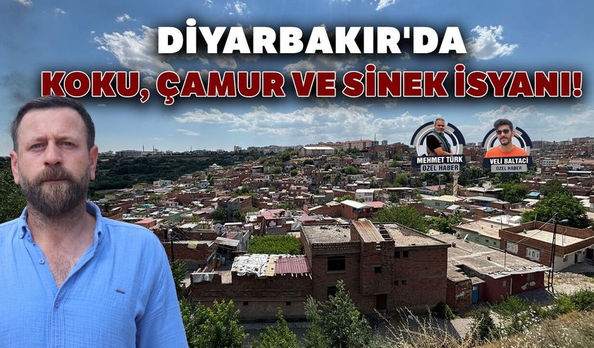 Diyarbakır'da koku, çamur ve sinek isyanı!