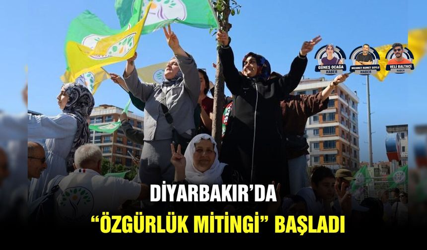 Diyarbakır’da “Özgürlük Mitingi” başladı