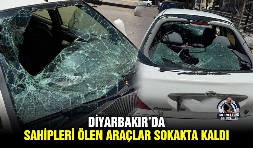 Diyarbakır’da, sahipleri ölen araçlar sokakta kaldı
