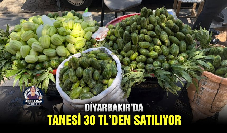 Diyarbakır’da tanesi 30 TL’den satılıyor