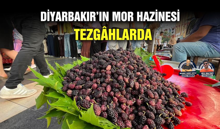 Diyarbakır’ın mor hazinesi tezgâhlarda