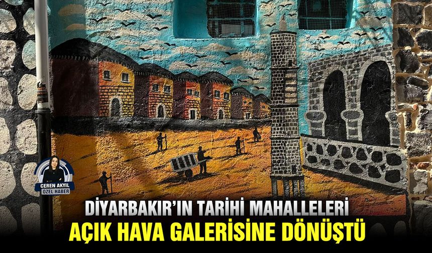 Diyarbakır’ın tarihi mahalleleri açık hava galerisine dönüştü