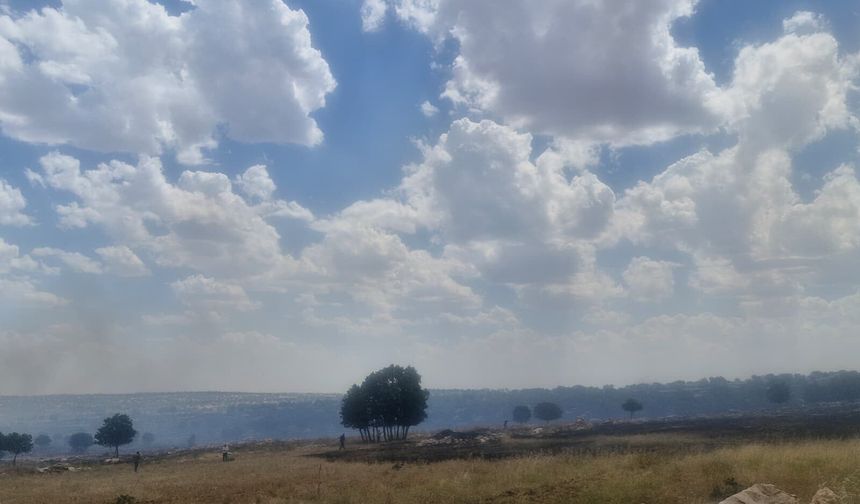 Diyarbakır Eğil'de büyük korku yaratan yangın!