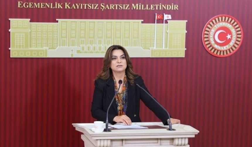 DEM Parti Grup Başkanvekili: İktidar NATO’ya güvenlik vitrini sunuyor