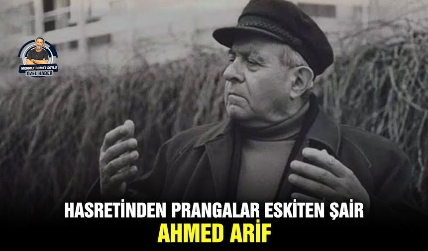 Hasretinden Prangalar Eskiten Şair: Ahmed Arif