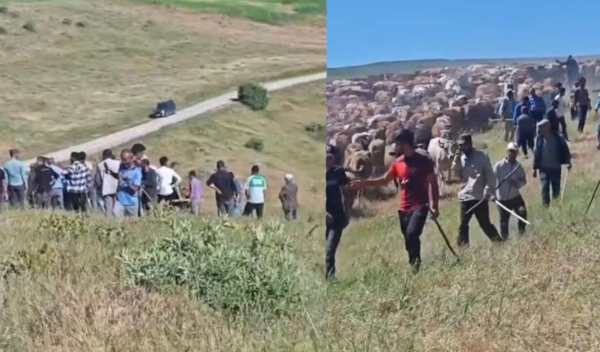 Muş’ta iki köy arasında 'arazi' kavgası: 2 yaralı