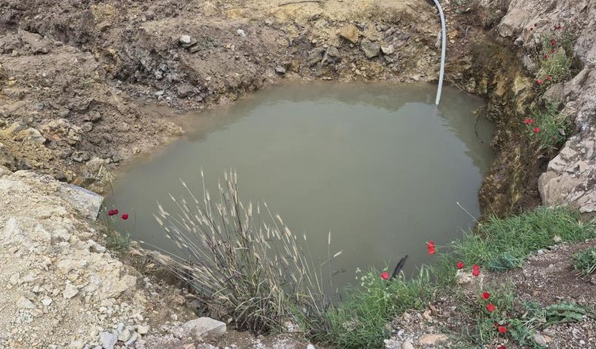 Serinlemek için su birikintisine giren 2 kardeş boğuldu