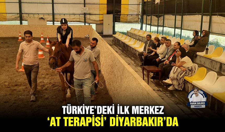 Türkiye’deki ilk merkez ‘At terapisi’ Diyarbakır’da