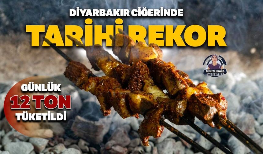 Diyarbakır ciğerinde tarihi rekor
