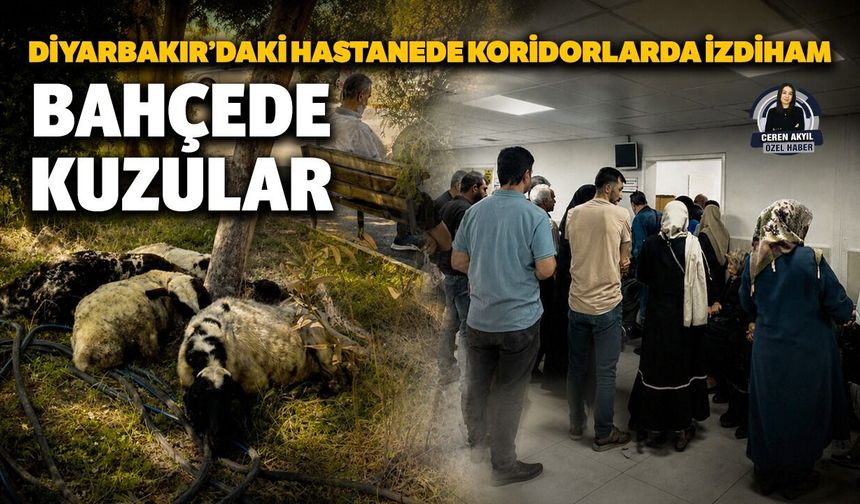 Diyarbakır’daki hastanede koridorlarda izdiham, bahçede kuzular