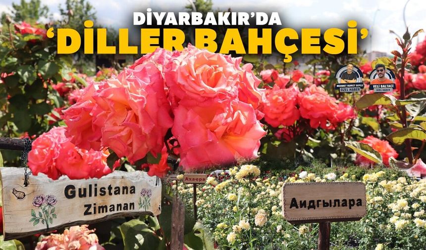 Diyarbakır’da ‘Diller Bahçesi’