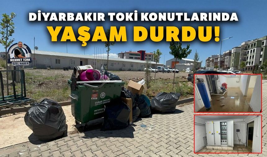 Diyarbakır TOKİ konutlarında yaşam durdu!
