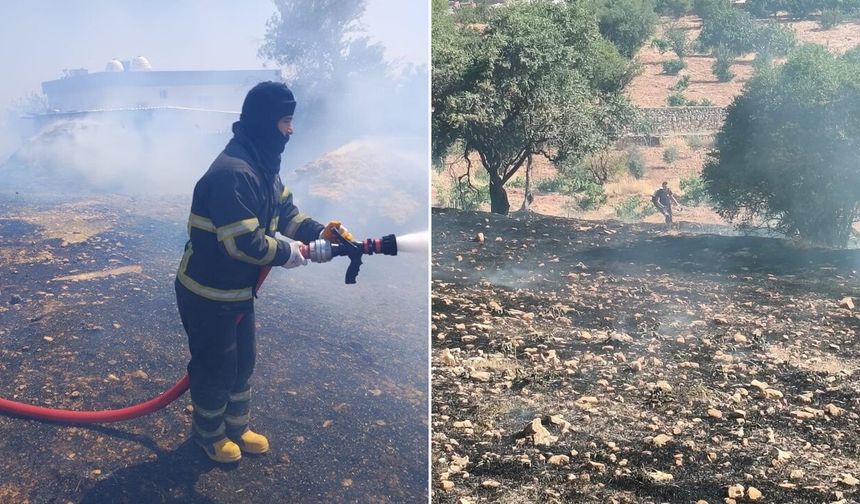 Diyarbakır'da anız ve orman yangınları