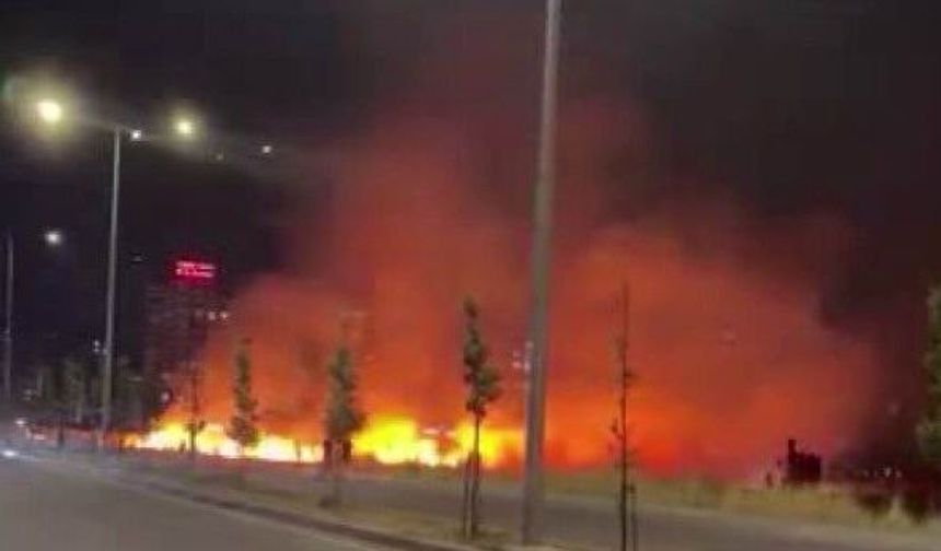 Diyarbakır' da korkutan yangın: Kuru otlar alev aldı
