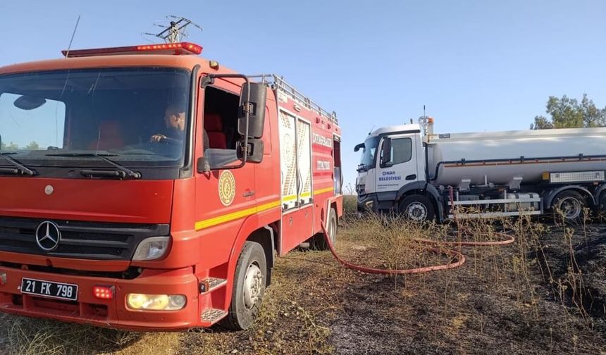 Diyarbakır'da anız yangınları birçok canlının hayatına mal oldu