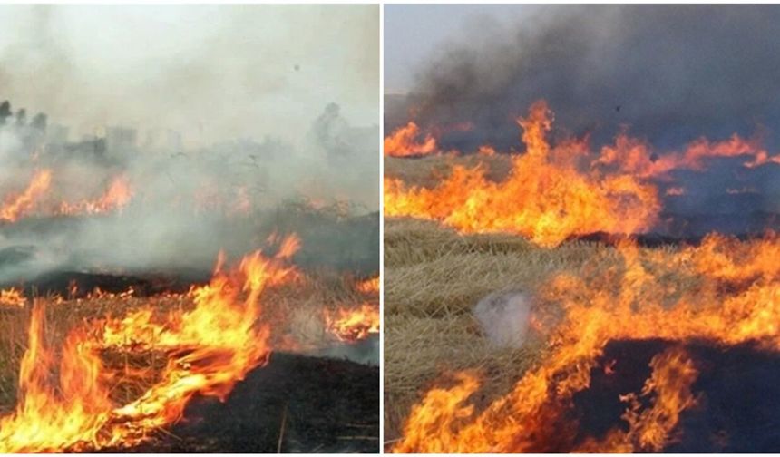 Diyarbakır'da anız yangını