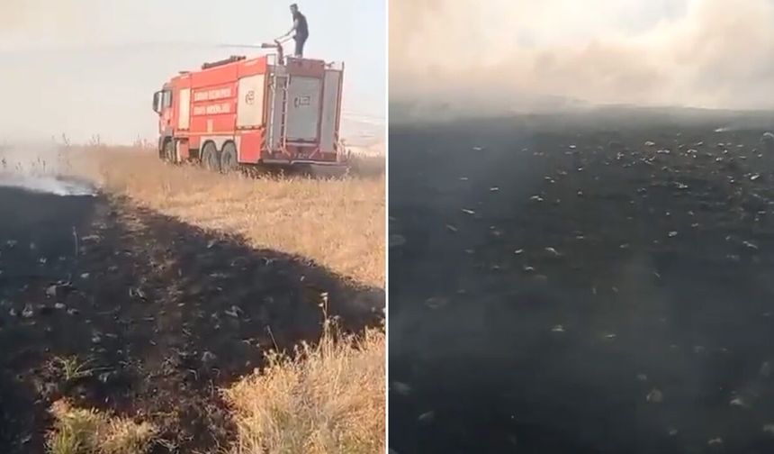 150 dönüm alanda anız yangını