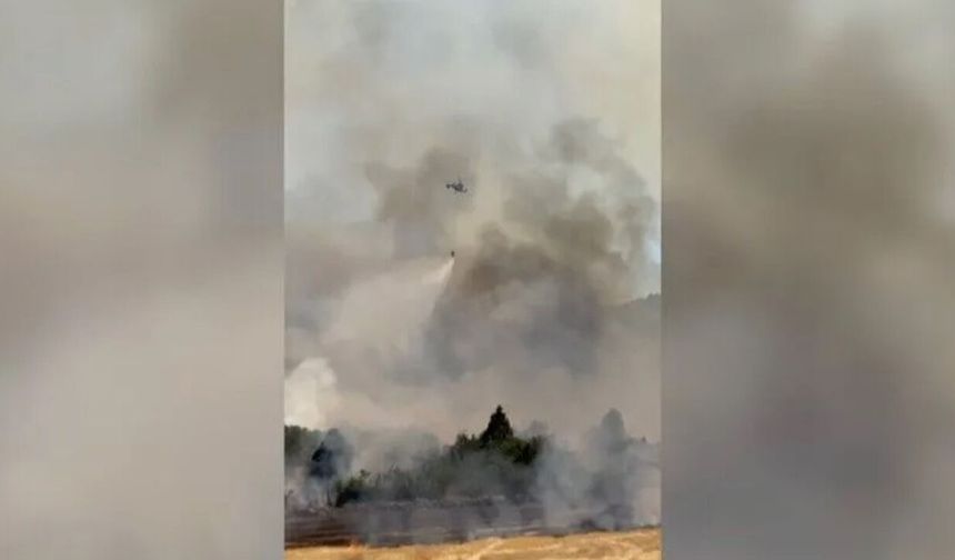 Antalya’da orman yangını