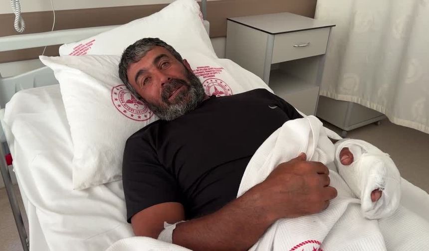 Ayı saldırısında 1 yaralı