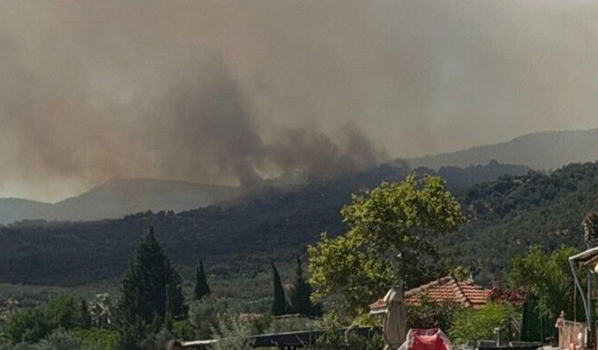 Orman yangınında yerleşim yerleri tahliye ediliyor