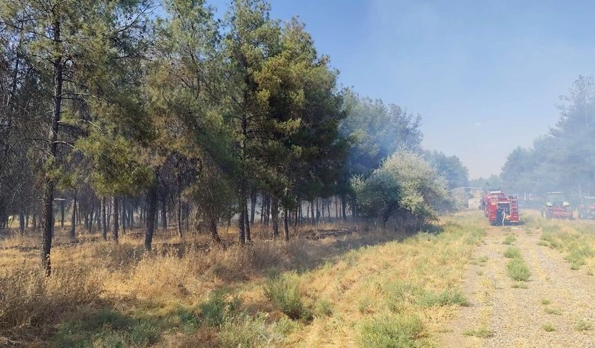 Diyarbakır’da üniversitede yangın