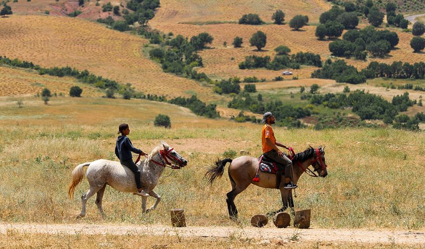 Hazro'nun atları şampiyonluğa koşuyor