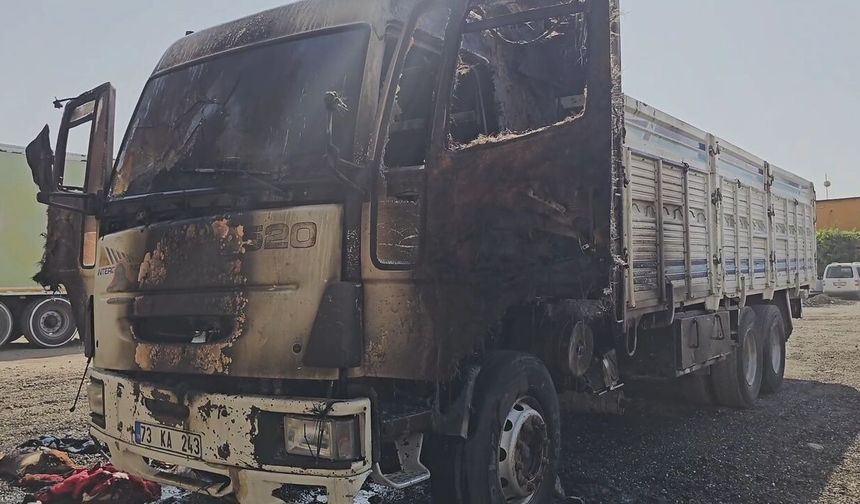 Mardin'de park halindeki kamyonda yangın