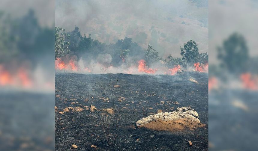 Diyarbakır'da örtü ve orman yangını