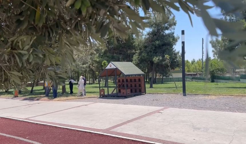 Şanlıurfa'da 11 noktaya 12 kedi evi kuruldu