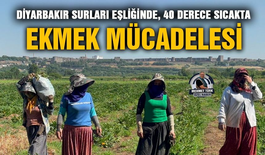 Diyarbakır Surları eşliğinde, 40 derece sıcakta ekmek mücadelesi