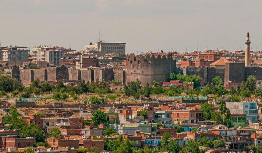 Herkes doğduğu kentte yaşasaydı, Diyarbakır kaçıncı sırada olurdu?