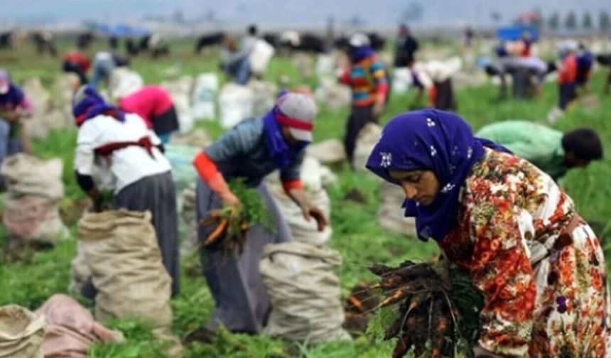 Bir sonraki yıl aynı yola çıkmamak