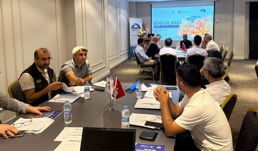 Bingöl Balı için yol haritası
