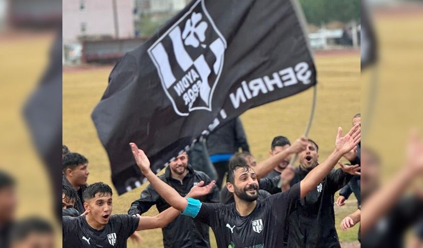 Bir zamanlar Süper Lig'deydi, iş ilanıyla kulüp başkanı arıyor