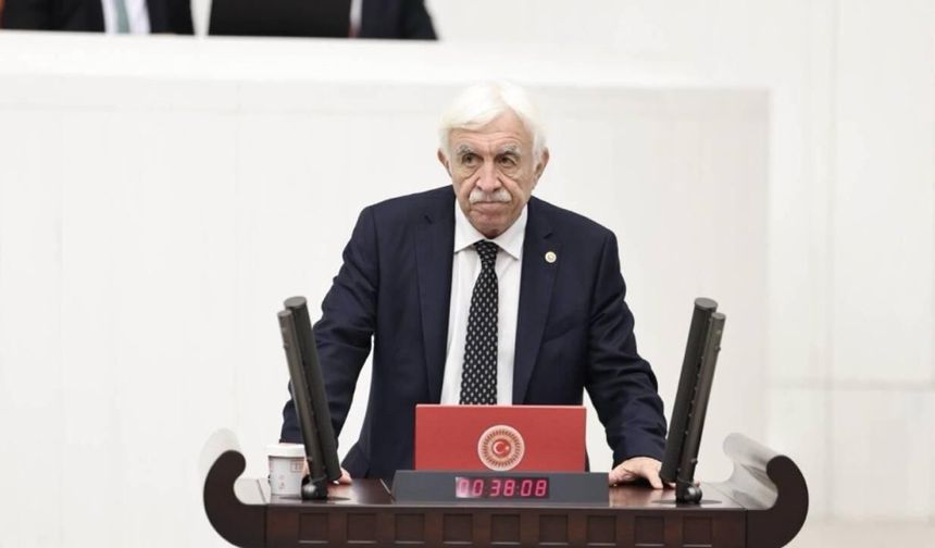Cengiz Çandar: Meclis tarihi bir hukuki adım atmaya hazırlanıyor