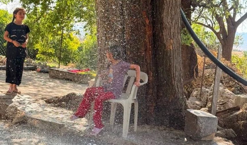 Diyarbakır'da kavurucu sıcaklığa karşı ilginç çözüm