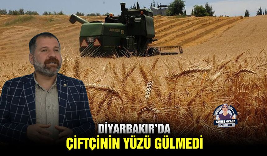 Diyarbakır’da çiftçinin yüzü gülmedi