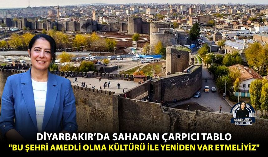 Diyarbakır’da sahadan çarpıcı tablo: "Bu şehri Amedli olma kültürü ile yeniden var etmeliyiz"