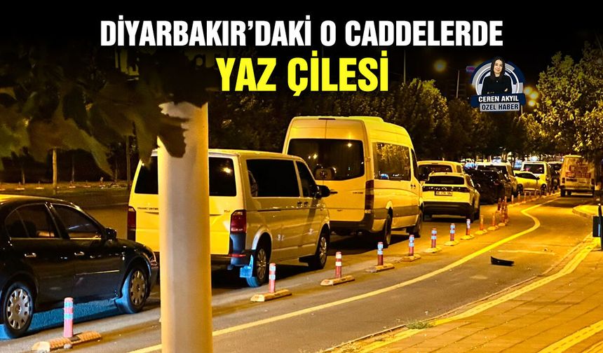 Diyarbakır’daki o caddelerde yaz çilesi