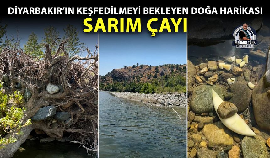 Diyarbakır’ın keşfedilmeyi bekleyen doğa harikası: Sarım Çayı