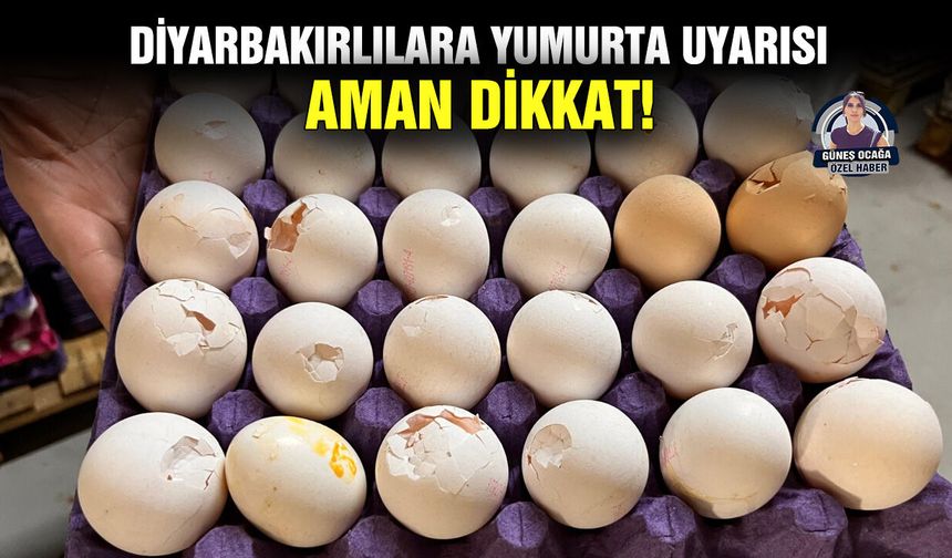 Diyarbakırlılara yumurta uyarısı: Aman dikkat!