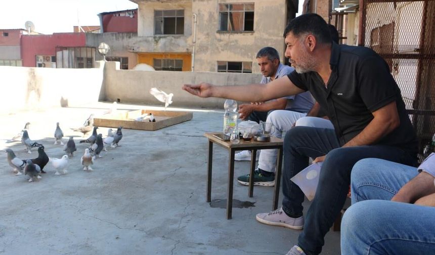 Diyarbakır'da güvercin oteli yeniden kapılarını açtı