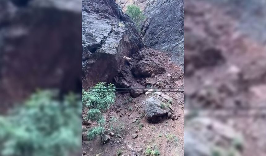 Dağ keçisi metrelerce yüksekten atladı: o anlar kamerada