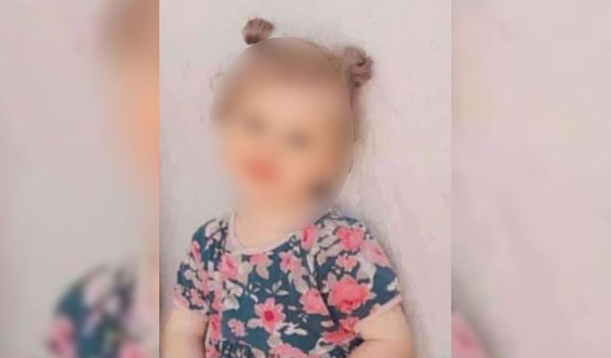 Diyarbakır'da kedinin ısırdığı çocuk, kuduz nedeniyle hayatını kaybetti